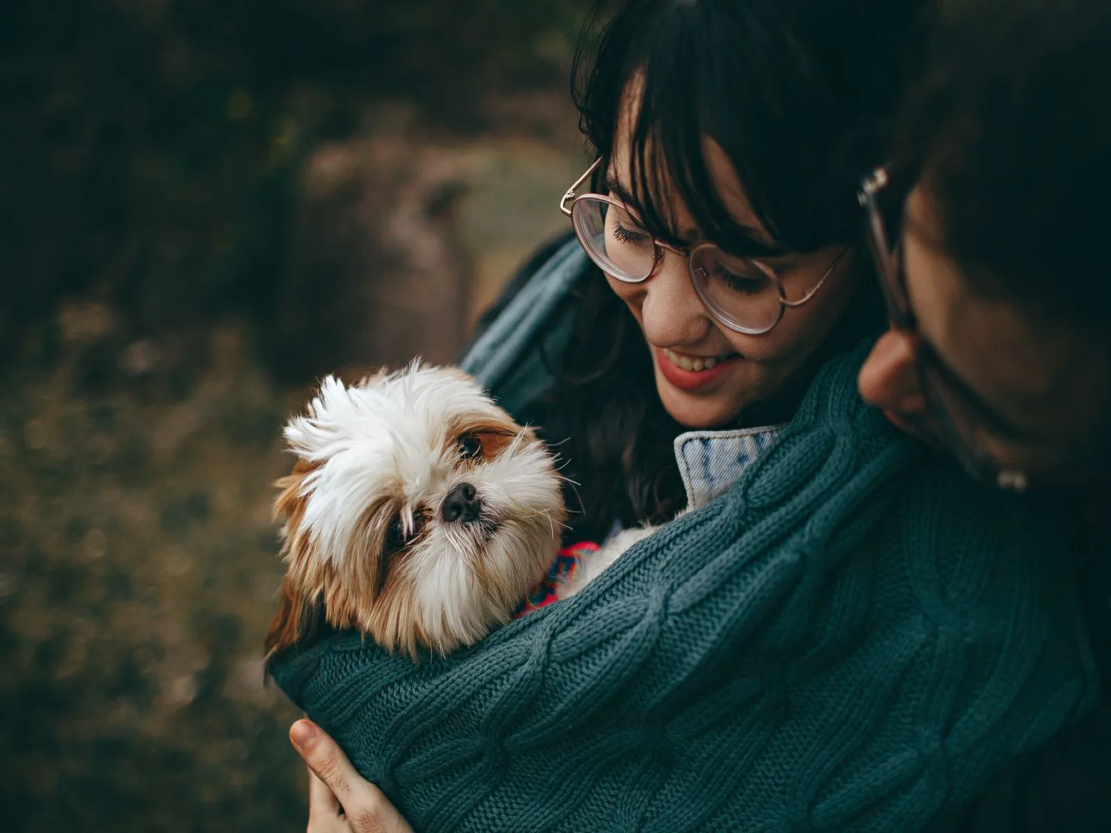 Dog companion representing pet families in West Bengal