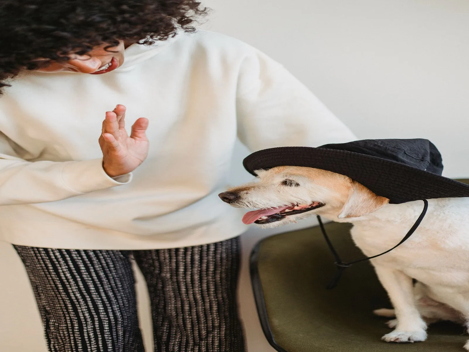 Dog illustrating dog dental care in india planning
