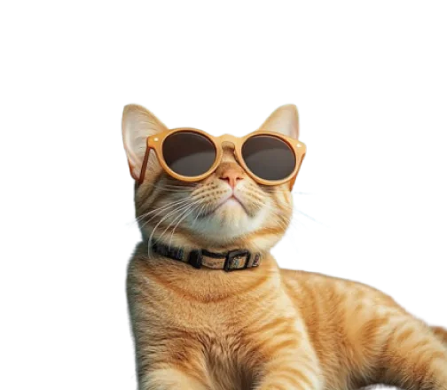 Cool cat wearing sunglasses